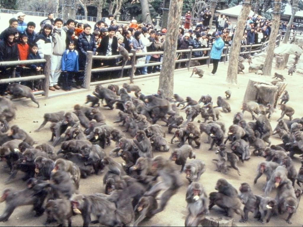 Kannawaso Beppu Buitenkant foto